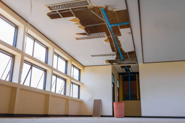 Best Water damage contractors near me  in Oliver, PA