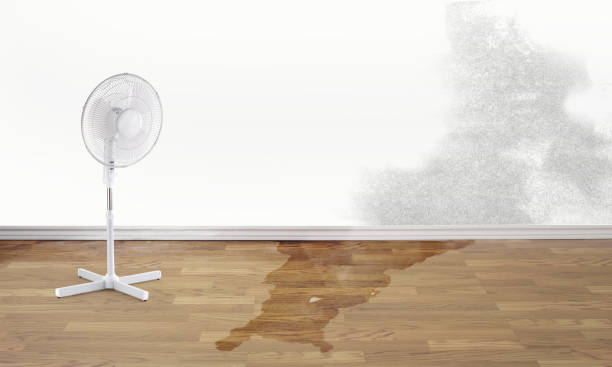 Best Water damage restoration company  in Oliver, PA