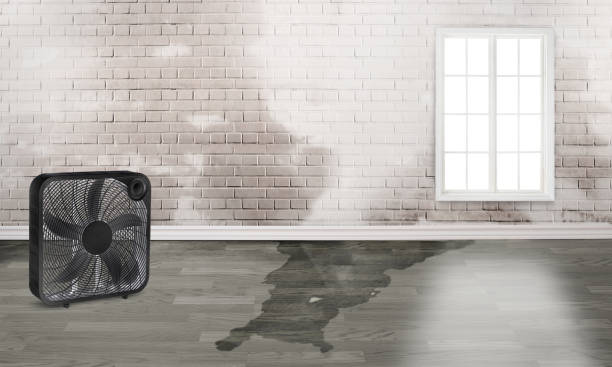Best Sewage cleanup and water damage restoration  in Oliver, PA