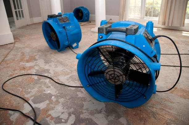 Best Water damage repair service  in Oliver, PA