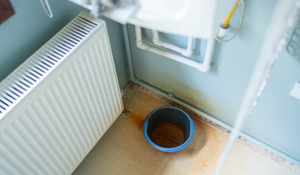 Best Carpet water damage restoration  in Oliver, PA