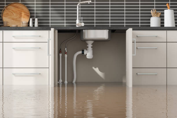 Best Water damage restoration mold remediation  in Oliver, PA