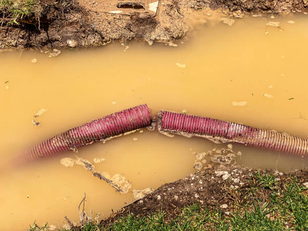 Best Water damage restoration near me  in Oliver, PA