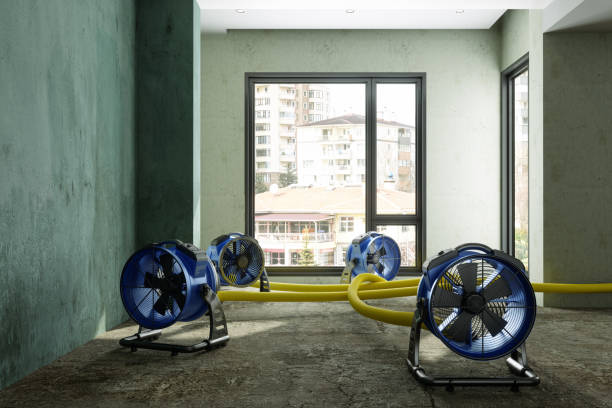Water damage restoration experts in PA